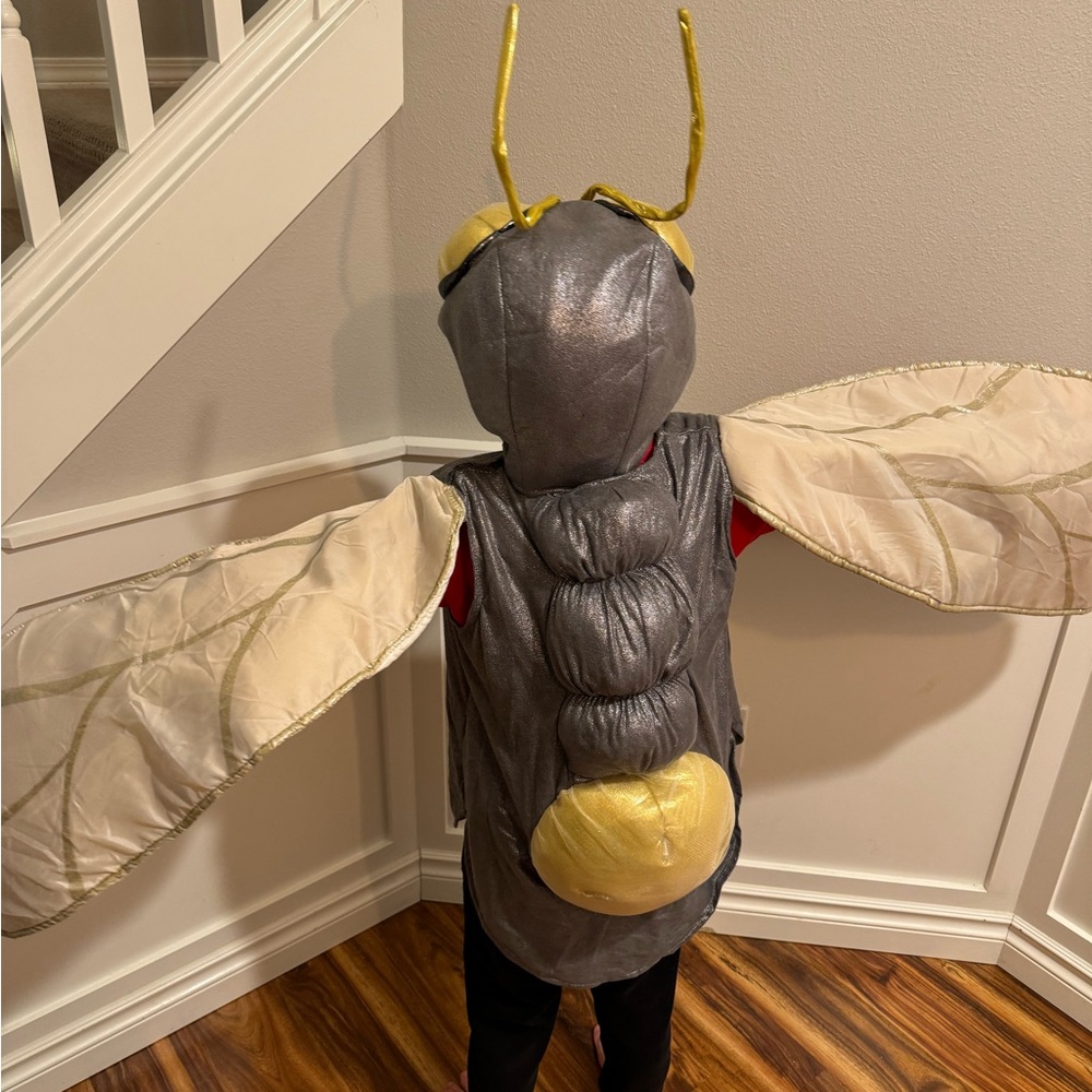 Pottery Barn Kids Costume Dragonfly Light Bug 7-8